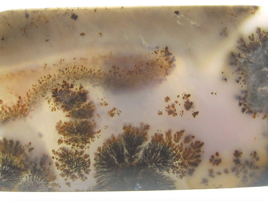 D is for Dendritic Agate