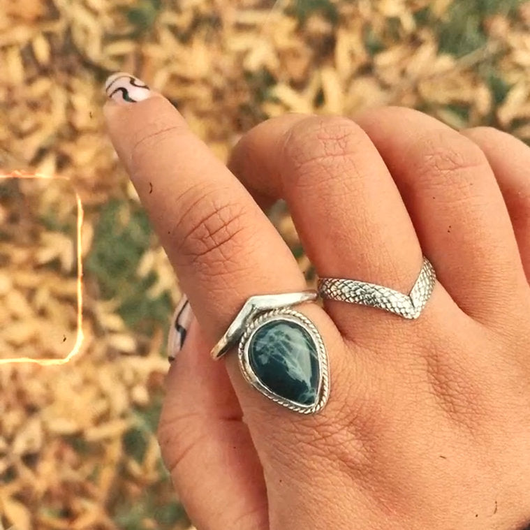 The Serpents Wishbone