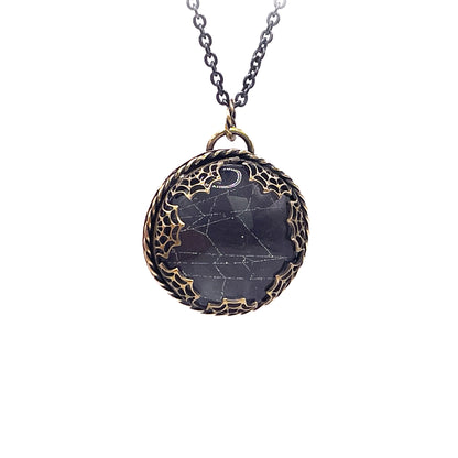 Preserved Spiderweb Brass Necklace